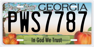 GA license plate PWS7787