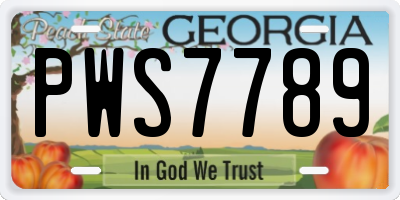 GA license plate PWS7789