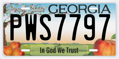GA license plate PWS7797