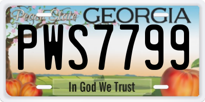 GA license plate PWS7799