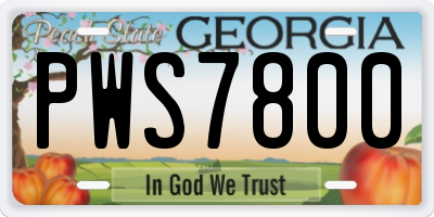 GA license plate PWS7800
