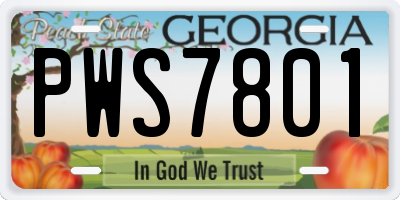 GA license plate PWS7801