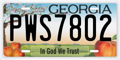 GA license plate PWS7802