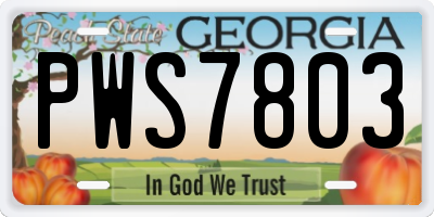 GA license plate PWS7803