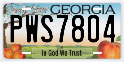 GA license plate PWS7804