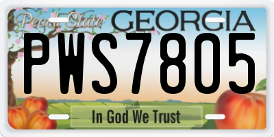 GA license plate PWS7805