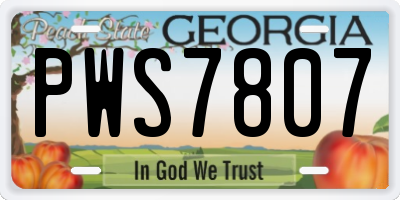 GA license plate PWS7807