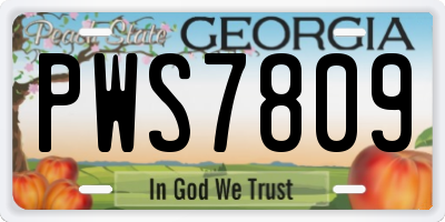 GA license plate PWS7809