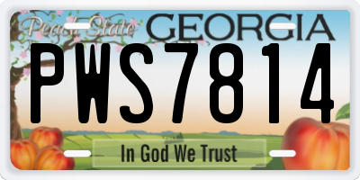 GA license plate PWS7814