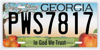 GA license plate PWS7817