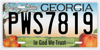 GA license plate PWS7819