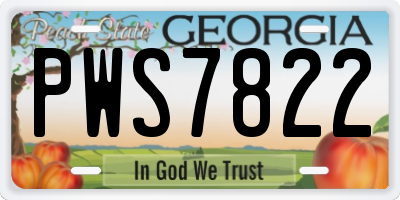 GA license plate PWS7822