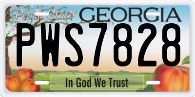 GA license plate PWS7828