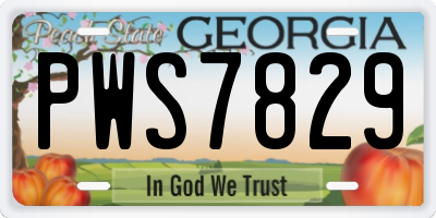 GA license plate PWS7829