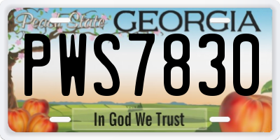 GA license plate PWS7830