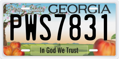 GA license plate PWS7831