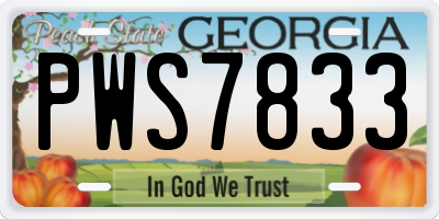 GA license plate PWS7833