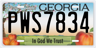 GA license plate PWS7834