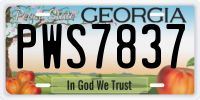 GA license plate PWS7837
