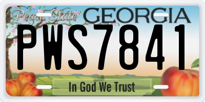 GA license plate PWS7841