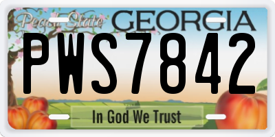 GA license plate PWS7842