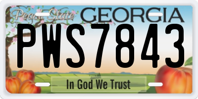 GA license plate PWS7843