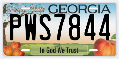 GA license plate PWS7844
