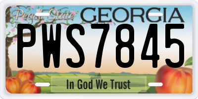 GA license plate PWS7845