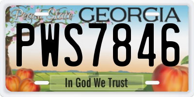 GA license plate PWS7846