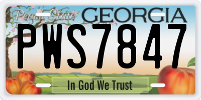 GA license plate PWS7847