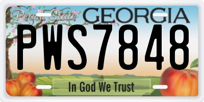 GA license plate PWS7848