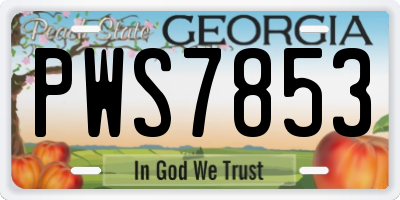 GA license plate PWS7853
