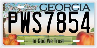 GA license plate PWS7854