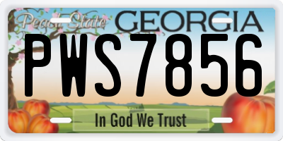 GA license plate PWS7856