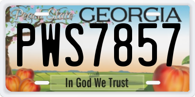 GA license plate PWS7857