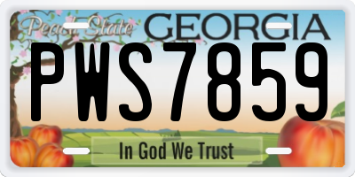 GA license plate PWS7859