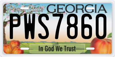 GA license plate PWS7860