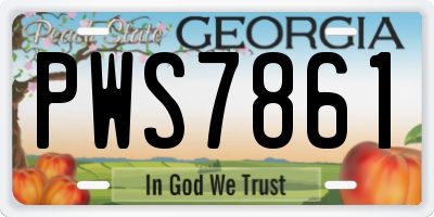 GA license plate PWS7861