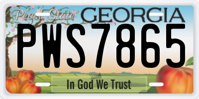 GA license plate PWS7865