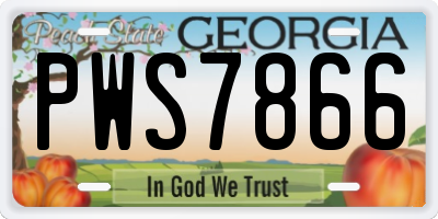 GA license plate PWS7866