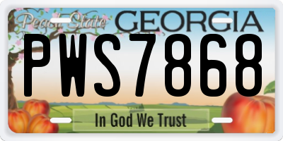 GA license plate PWS7868
