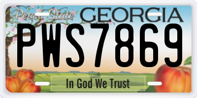 GA license plate PWS7869