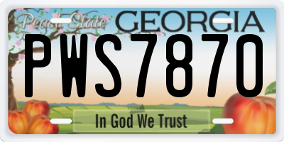 GA license plate PWS7870