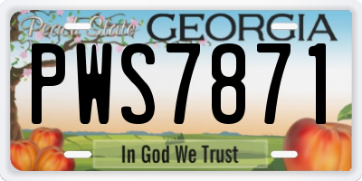 GA license plate PWS7871