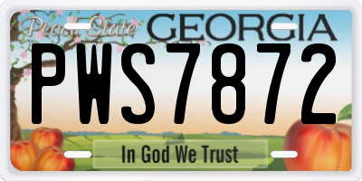 GA license plate PWS7872