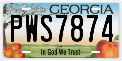 GA license plate PWS7874