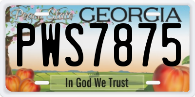 GA license plate PWS7875