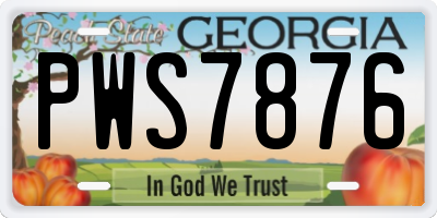 GA license plate PWS7876