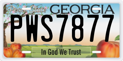 GA license plate PWS7877