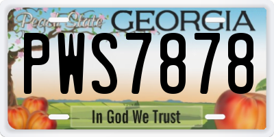 GA license plate PWS7878